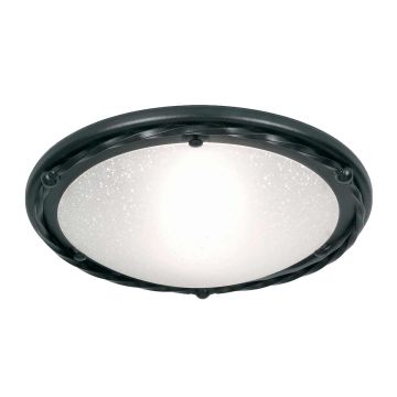 1 Light Flush - Black