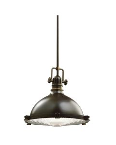 1 Light Medium Pendant - Olde Bronze - Oil Rubbed Bronze